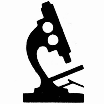 The Scientist and Artist in Society.